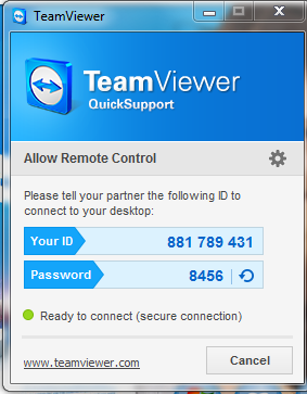 TeamViewer Information